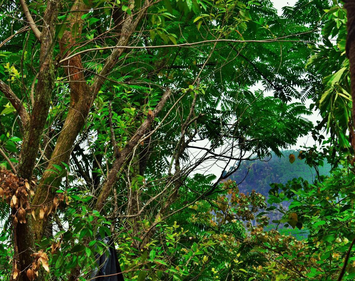 Green Cottage Ella Exteriér fotografie